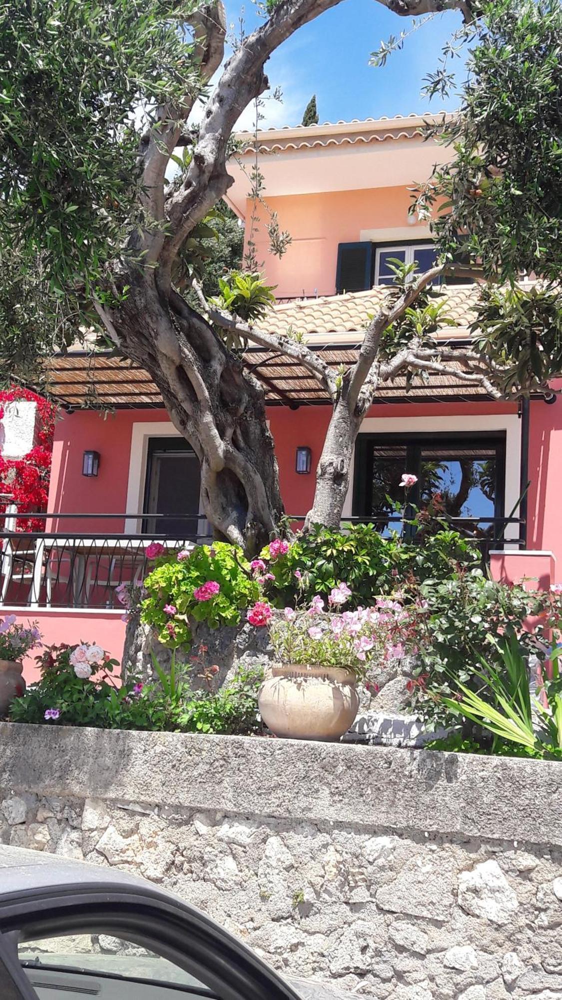 Rapanos Apartments Paleokastritsa Zewnętrze zdjęcie